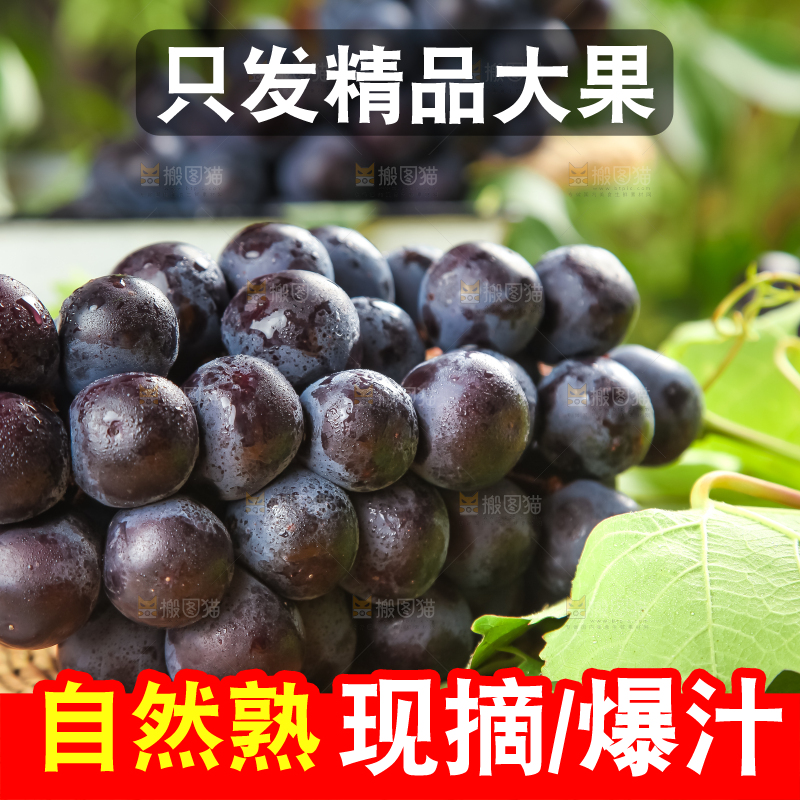 垫子上的云南夏黑无籽葡萄