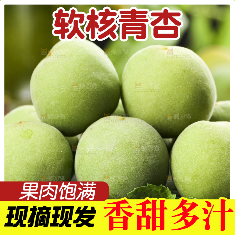 黑石板上的青杏