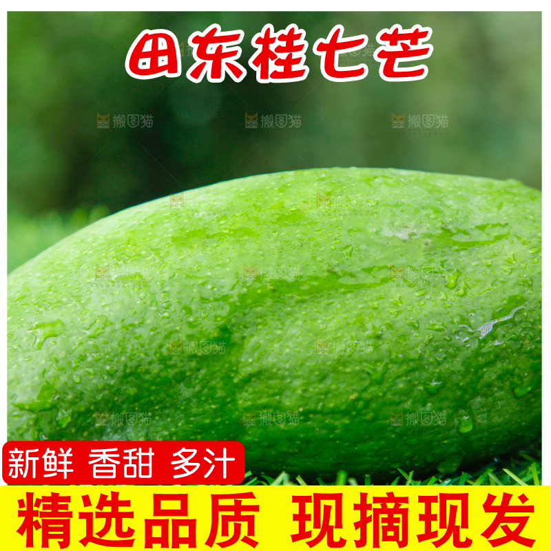草地上放着青皮桂七芒