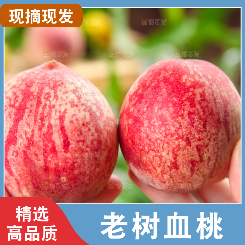 手上拿着湖北胭脂红桃子