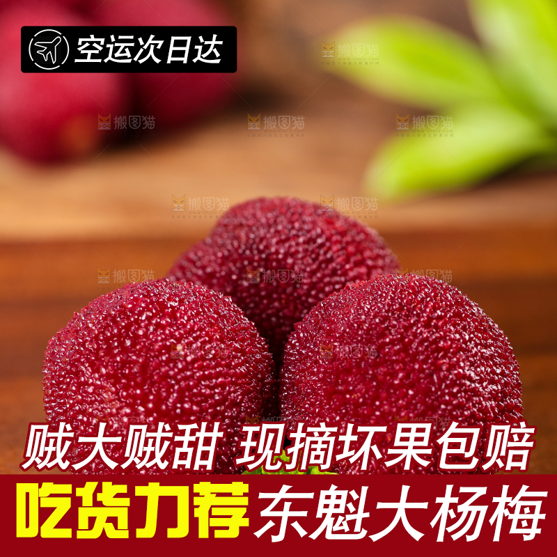 杨梅