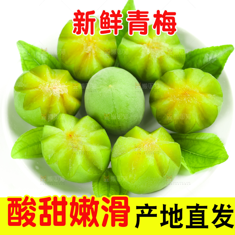 白底上的诏安青梅