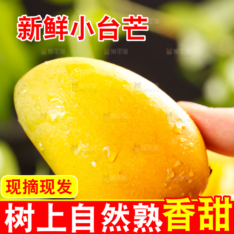 手上拿着海南台农芒果