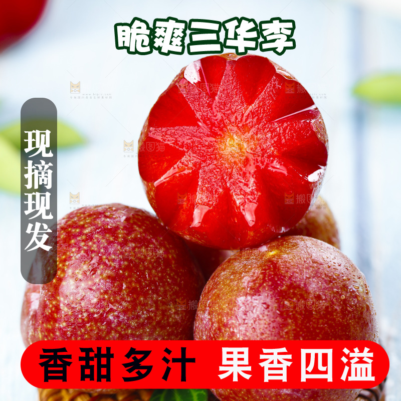 红肉三华李主图