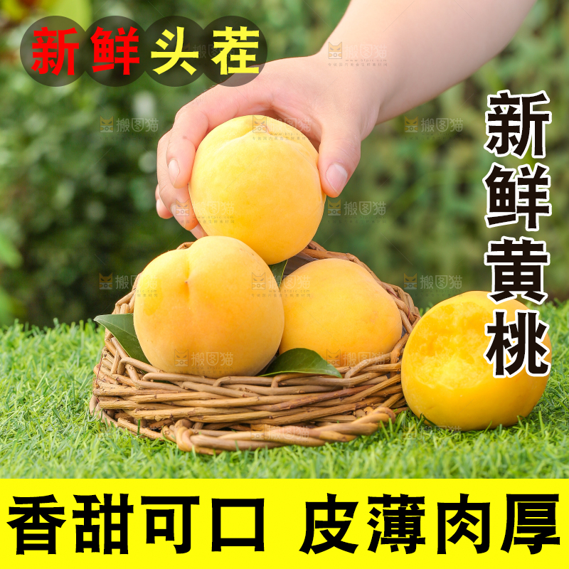 篮子里装着黄肉毛桃