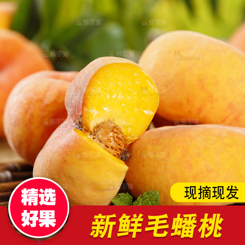 竹底上的黄肉毛蟠桃