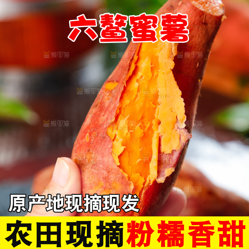 手里拿着板栗薯