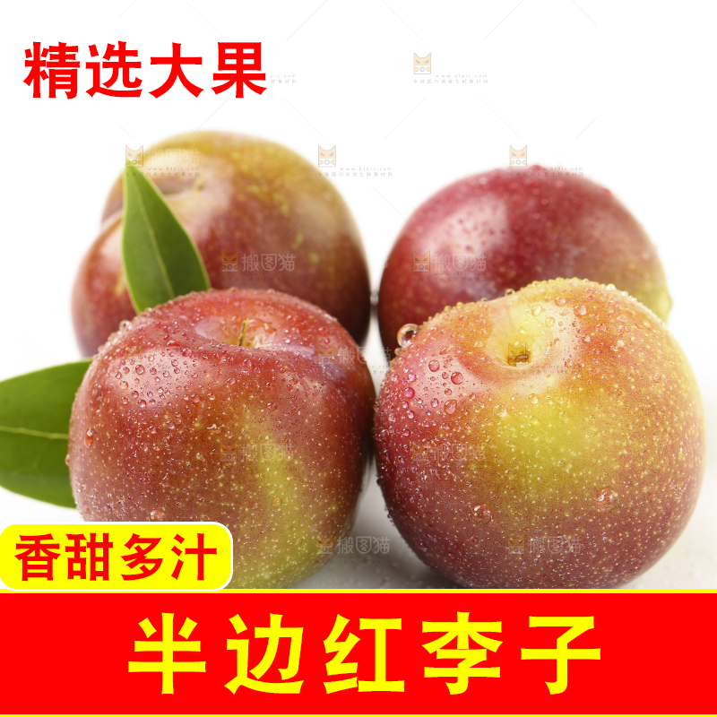 白底上的四川茵红脱骨李
