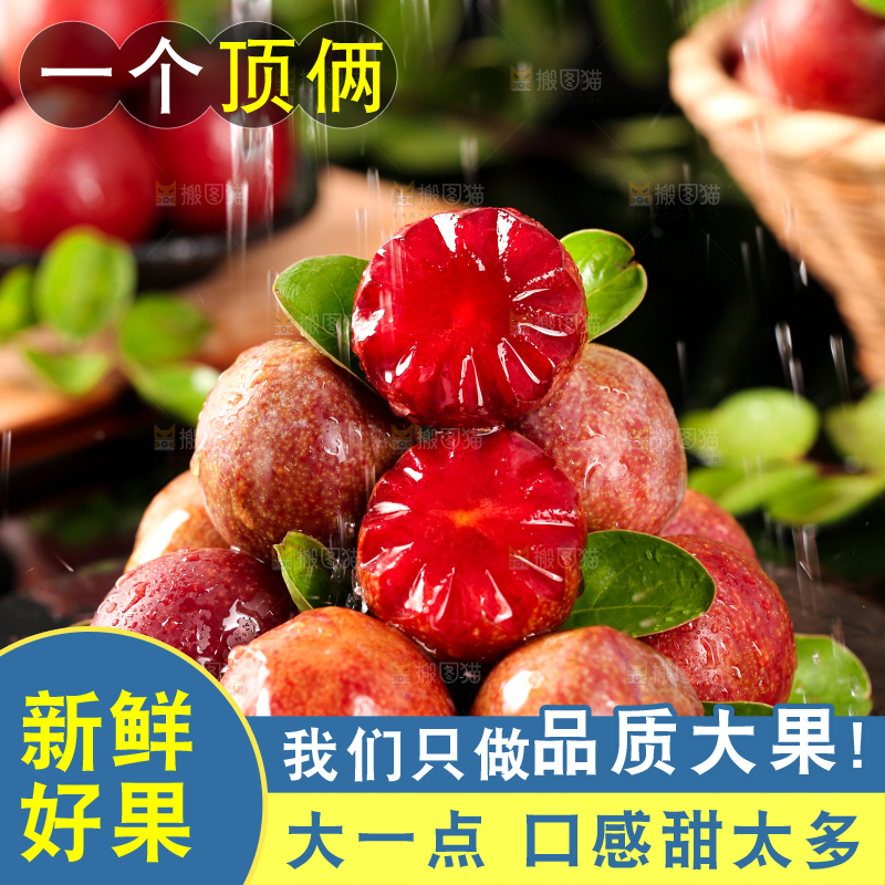 红肉三华李主图