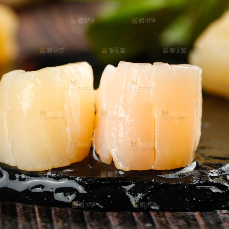 深底上的元贝柱