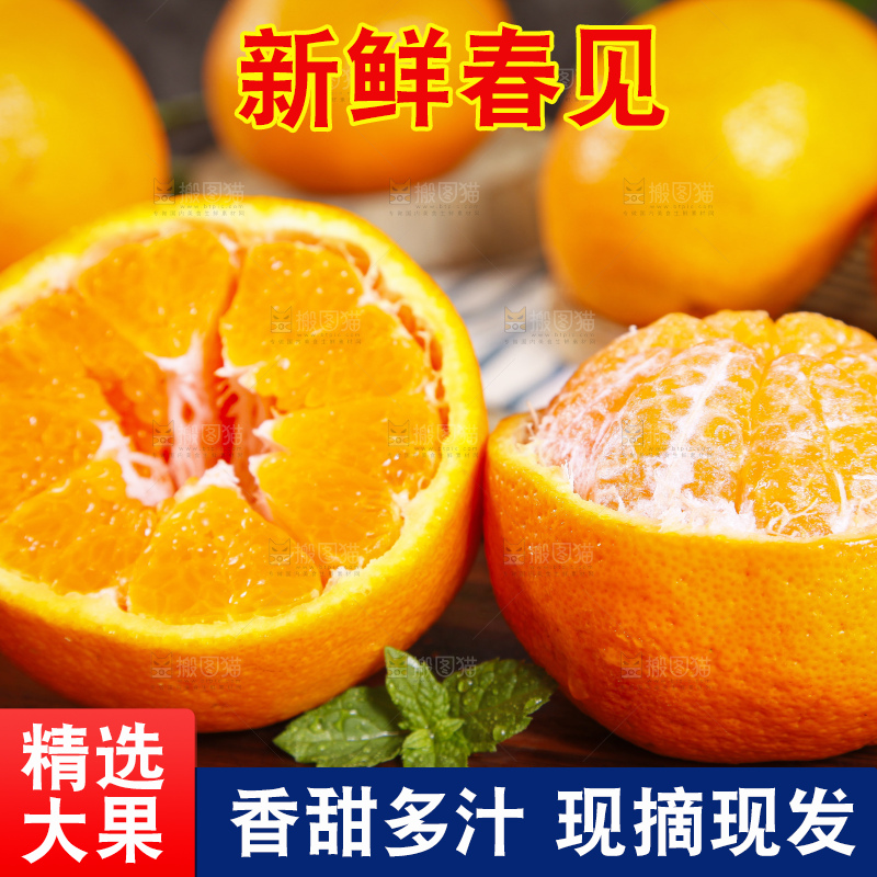 木板上的春见耙耙柑