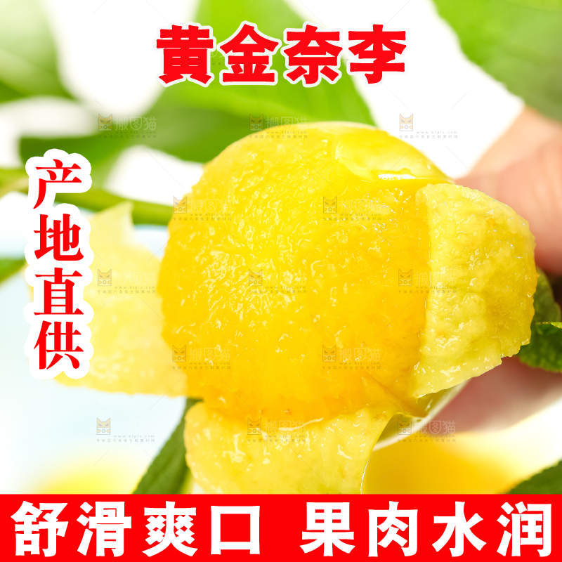 枝叶上的黄金李