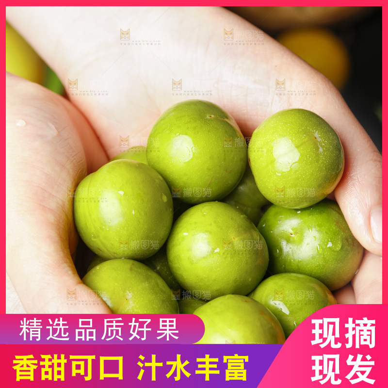 手里拿着新鲜李子