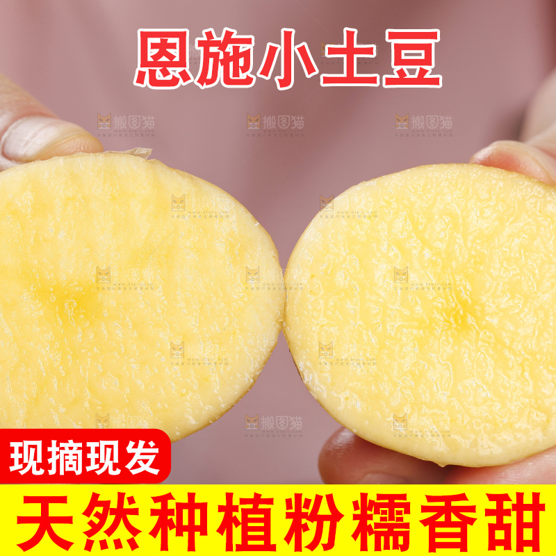 手里拿着迷你小土豆