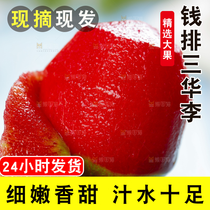 石板上的新鲜三华李