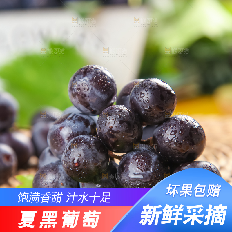 垫子上的云南夏黑无籽葡萄