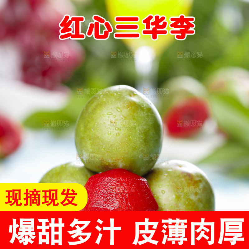 石板上的新鲜三华李