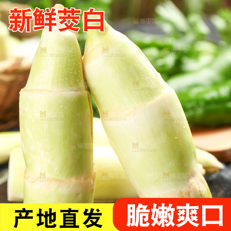 黑石板上的云南茭白
