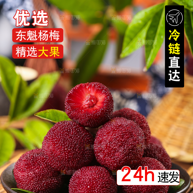 杨梅