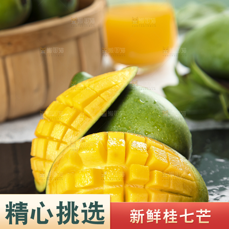 石板上的青皮桂七芒