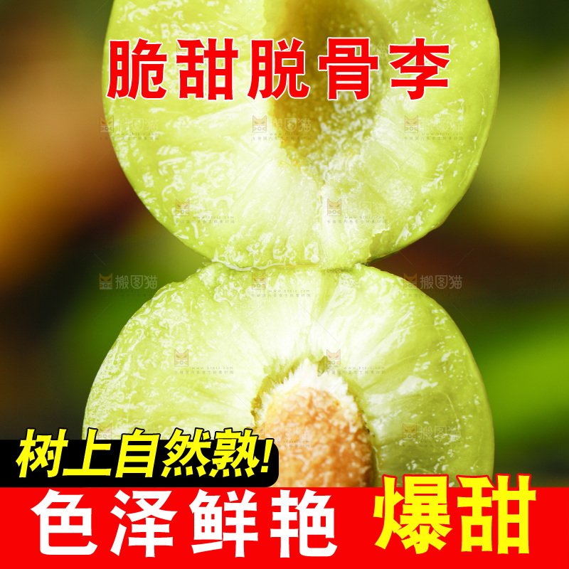 石板上的四川脱骨李子