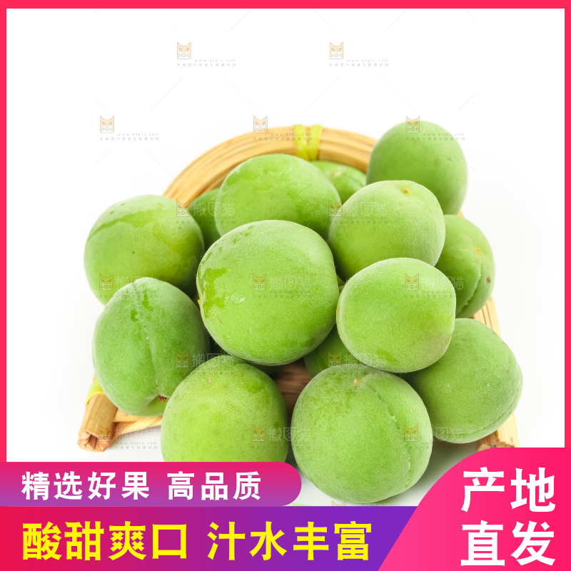 白底上的诏安青梅