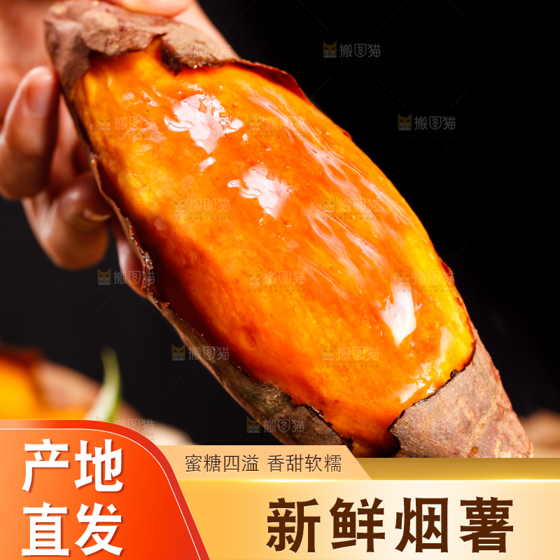 黑底上的山东烟薯