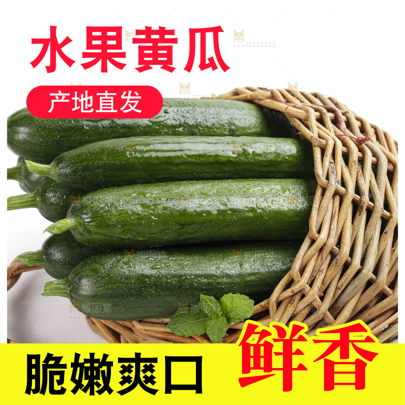 篮子里装着无刺小黄瓜