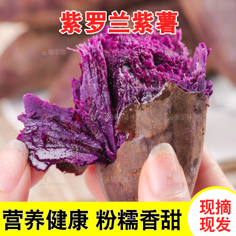 浅底上的板栗紫薯