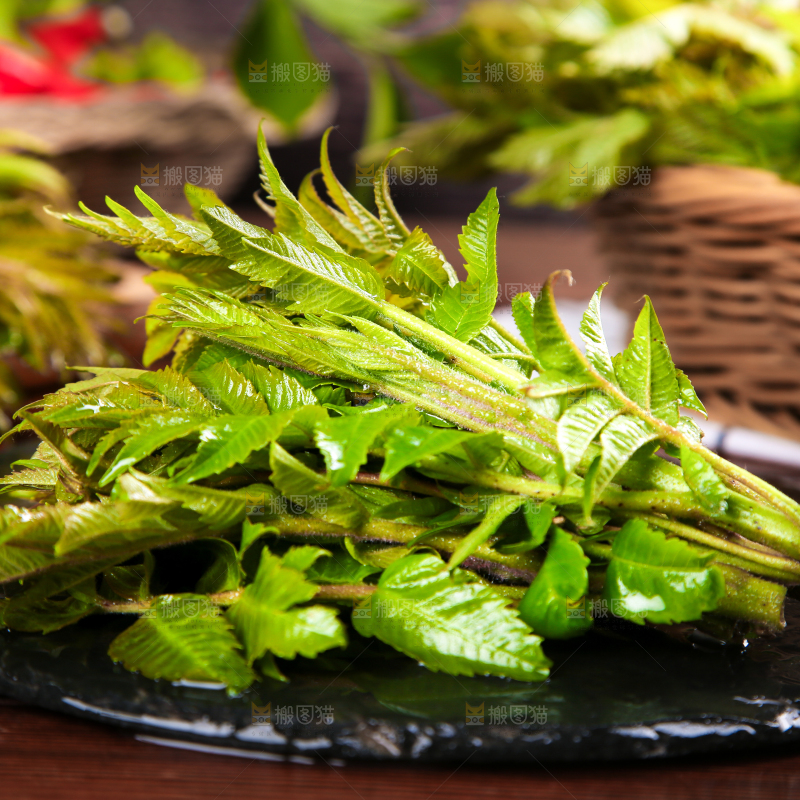 黑石板上的山东香椿芽