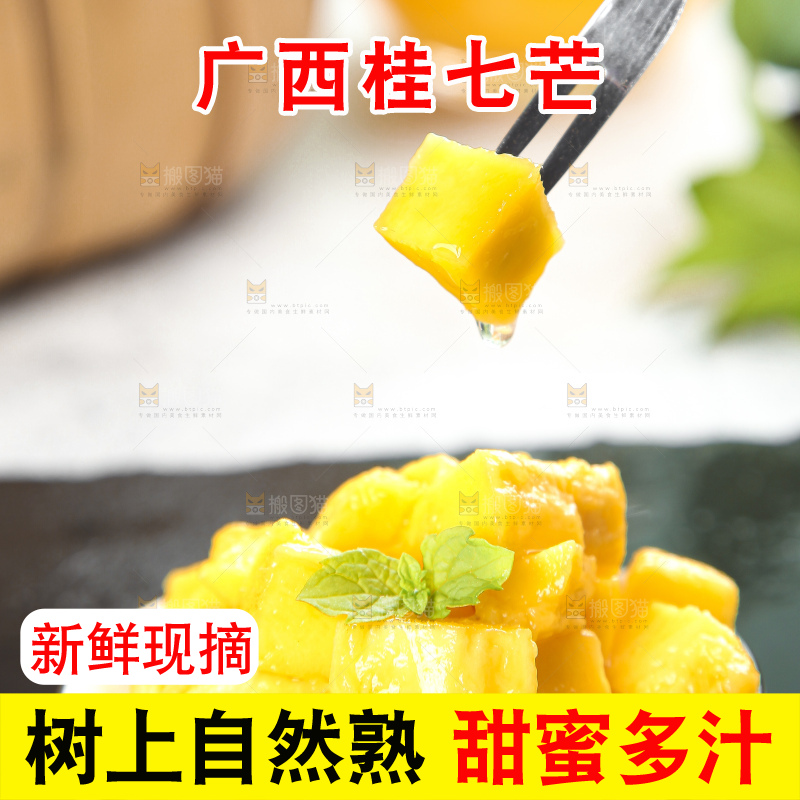 石板上的青皮桂七芒