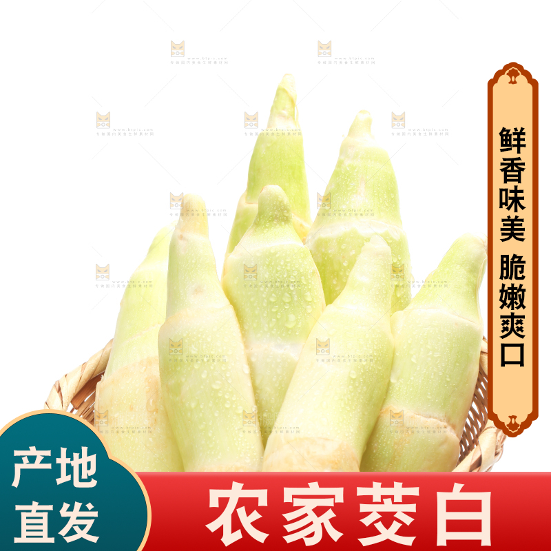白底上的茭白