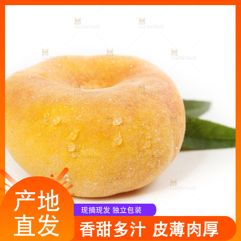 白底上的蒙阴毛蟠桃