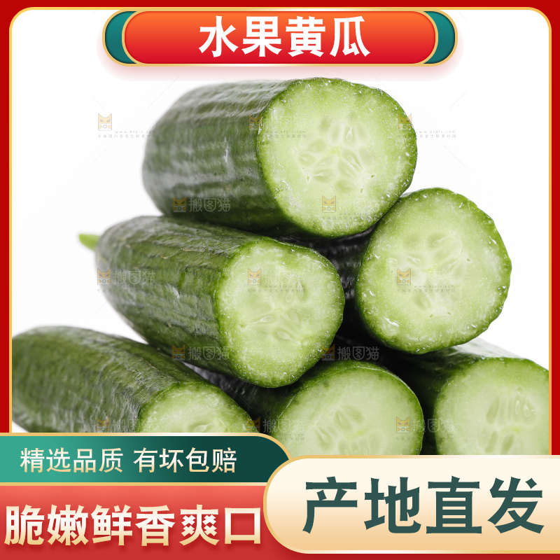 白底上的山东水果黄瓜