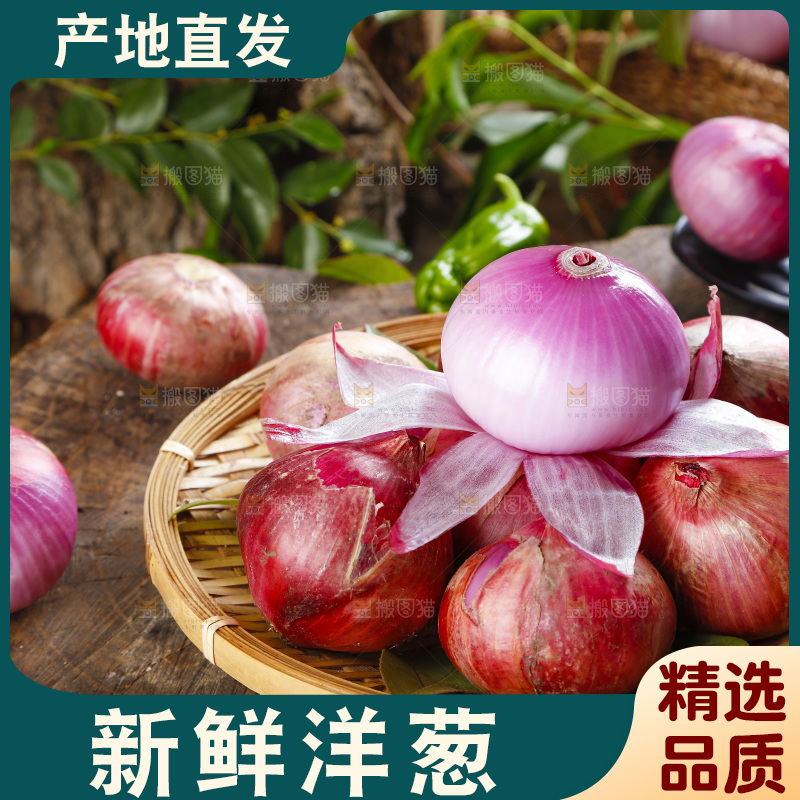 篮子里的新鲜洋葱