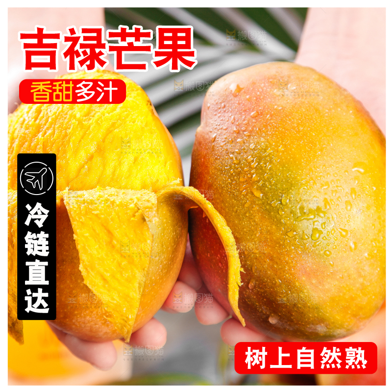 手里拿着爱文芒