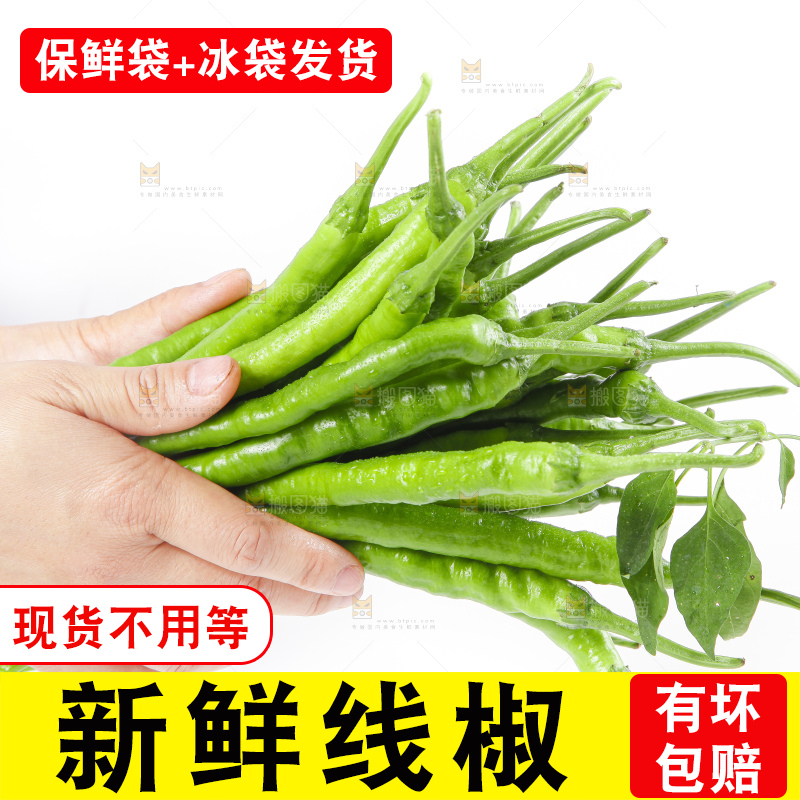 篮子里装着线椒