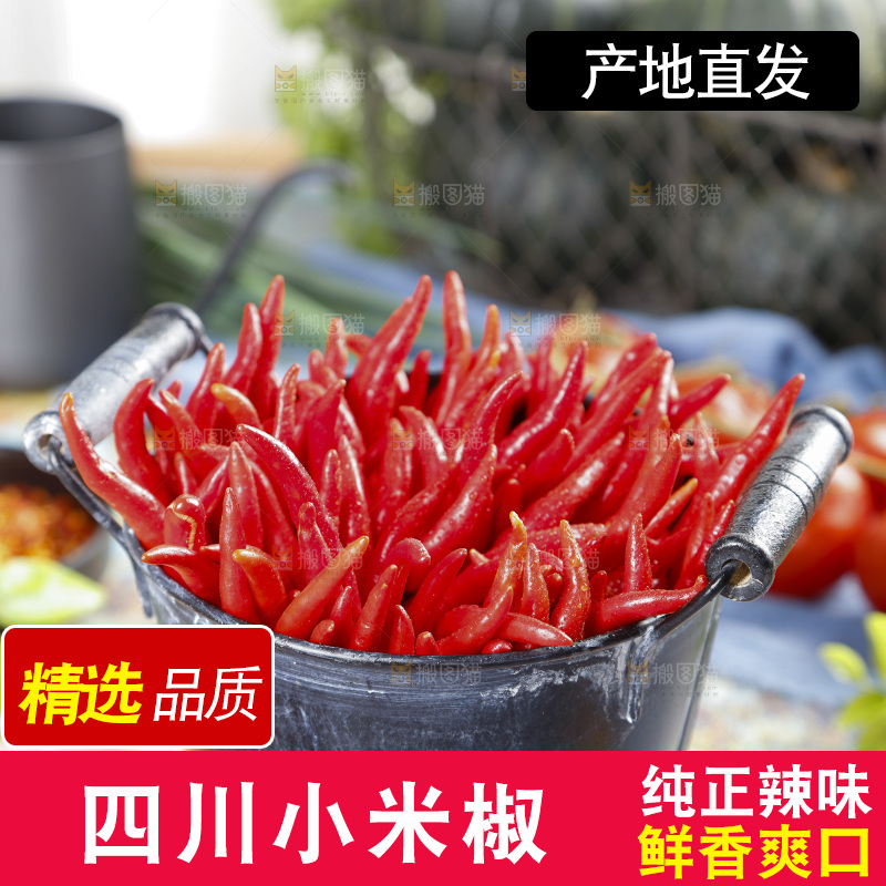 桶里装着小米椒
