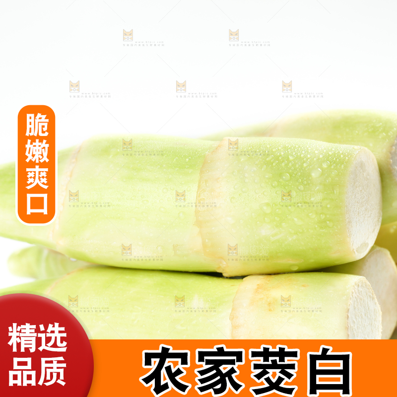 白底上的茭白