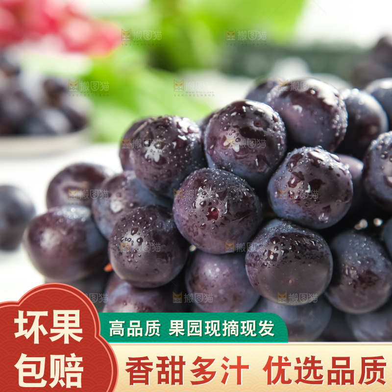 石板上的新鲜葡萄