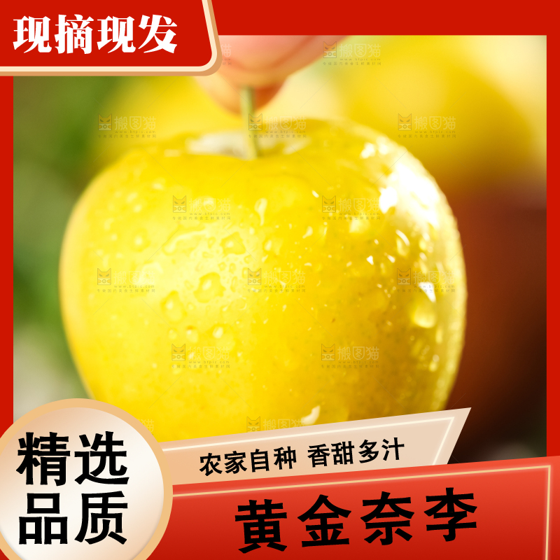 手里拿着黄金奈李