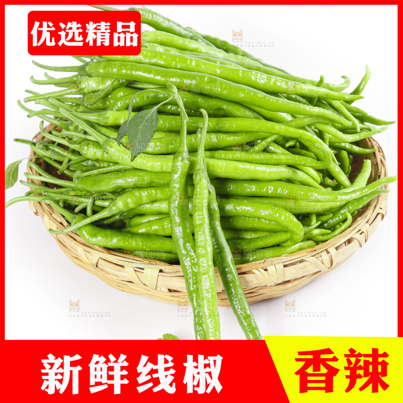 篮子里装着线椒