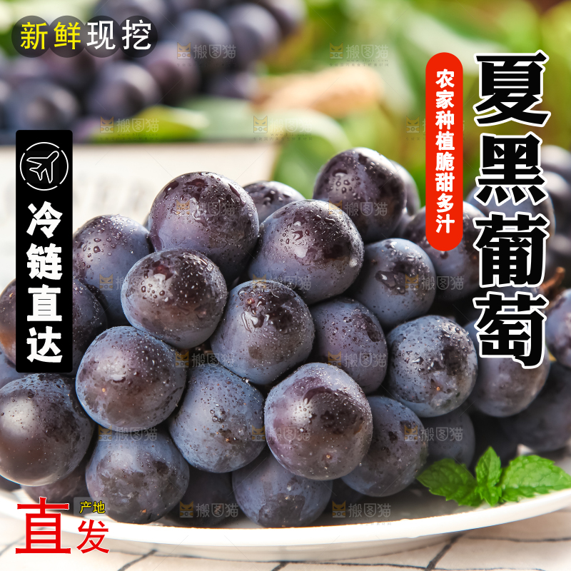 白格子底上放着夏黑葡萄