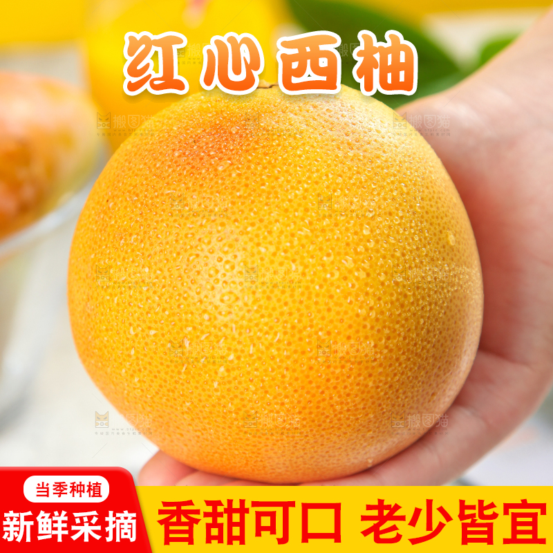 手里拿着南非进口西柚