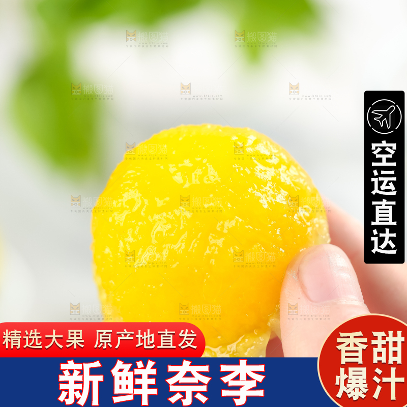 亮底上的九峰山黄金奈李