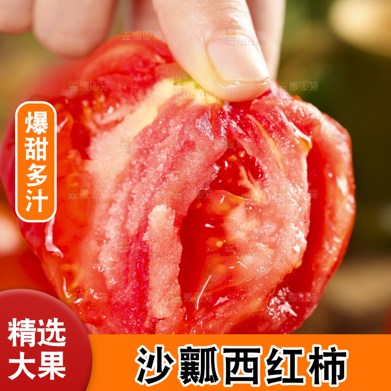 手里拿着米易沙瓤西红柿