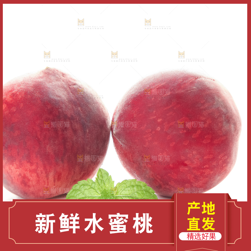 白底上的春雪水蜜桃