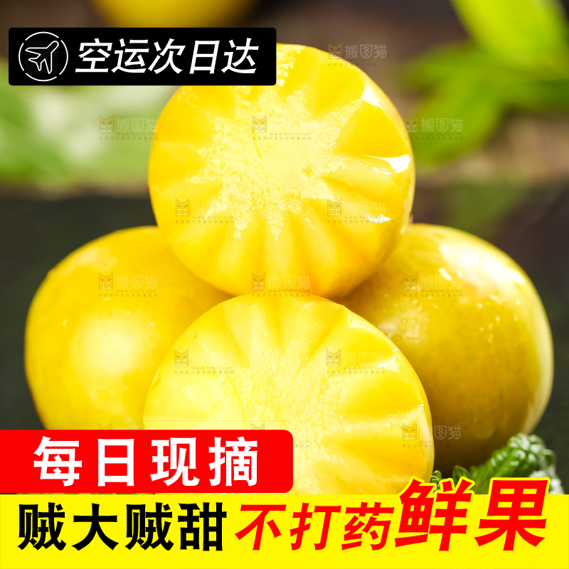 石板上的黄金李子