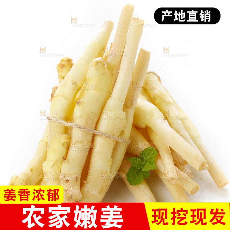 白底上的一堆新鲜生姜