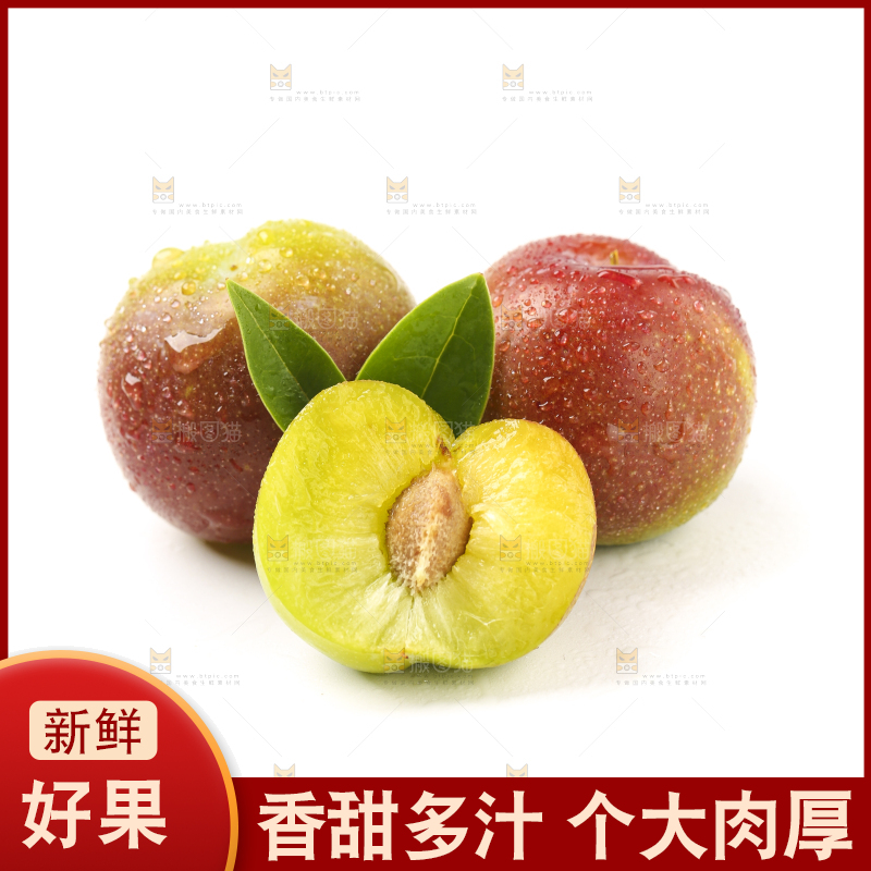 白底上的四川茵红脱骨李